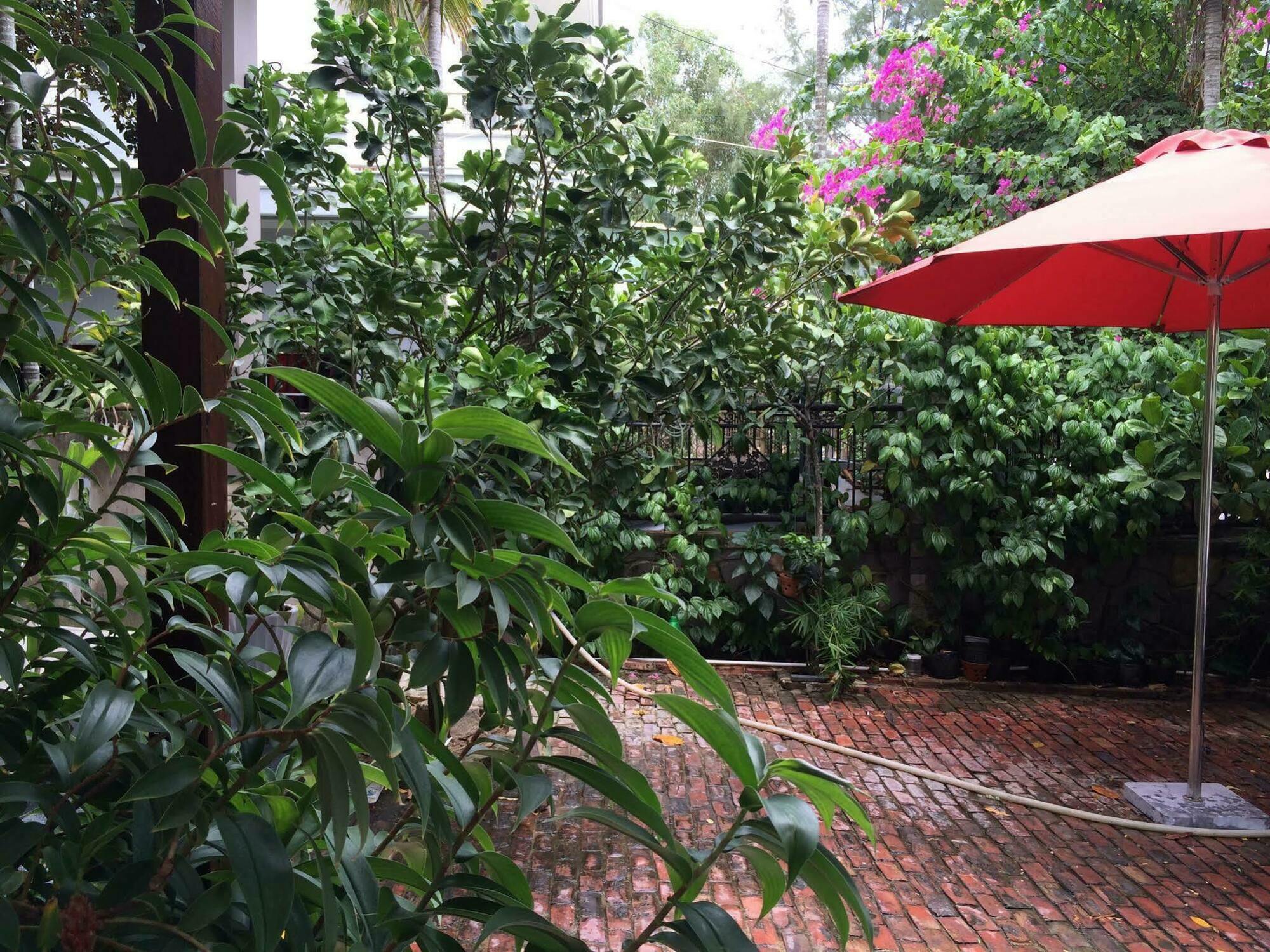 Mama'S House Hoi An Homestay Exterior photo